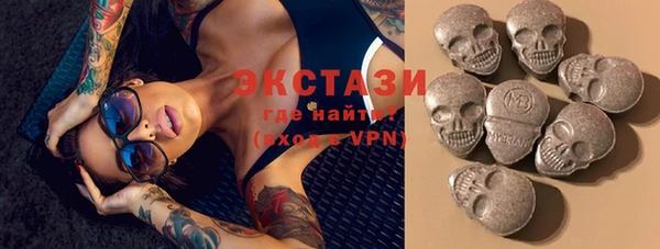 индика Михайловск