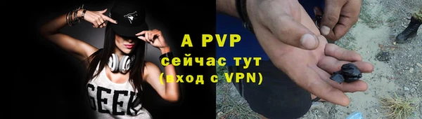 индика Михайлов