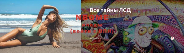 индика Михайловск